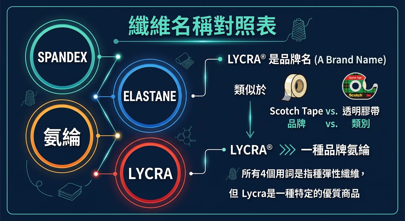 纖維名稱對照表示意圖,左側為四個名稱圓形標籤(Spandex、Elastane、氨綸、Lycra),右側說明 Lycra 是品牌名類似 Scotch Tape 與透明膠帶的關係,簡潔線條圖形搭配深色背景